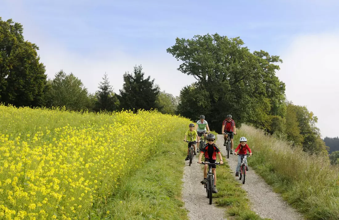 Thomahof Urlaub auf dem Bauernhof
