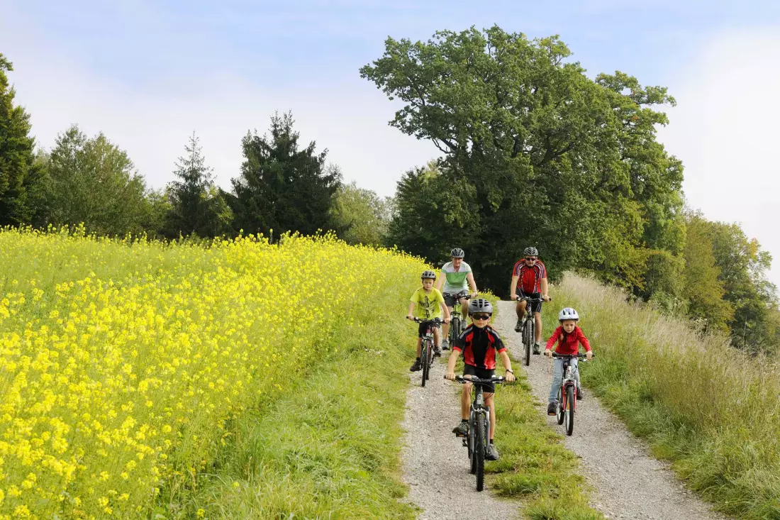 Thomahof Urlaub auf dem Bauernhof