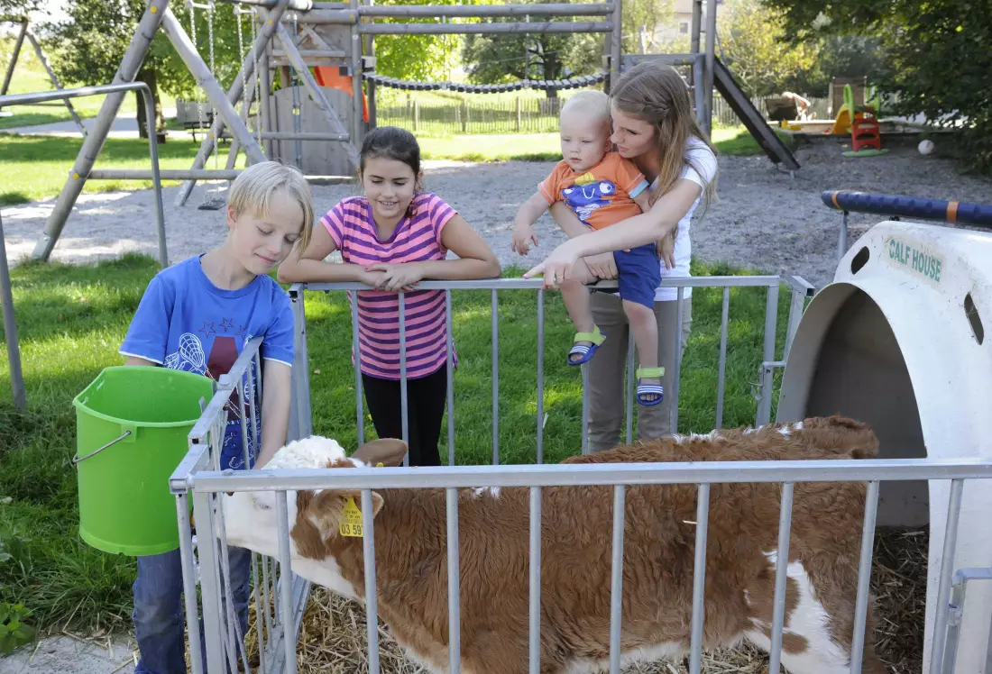Thomahof Urlaub auf dem Bauernhof