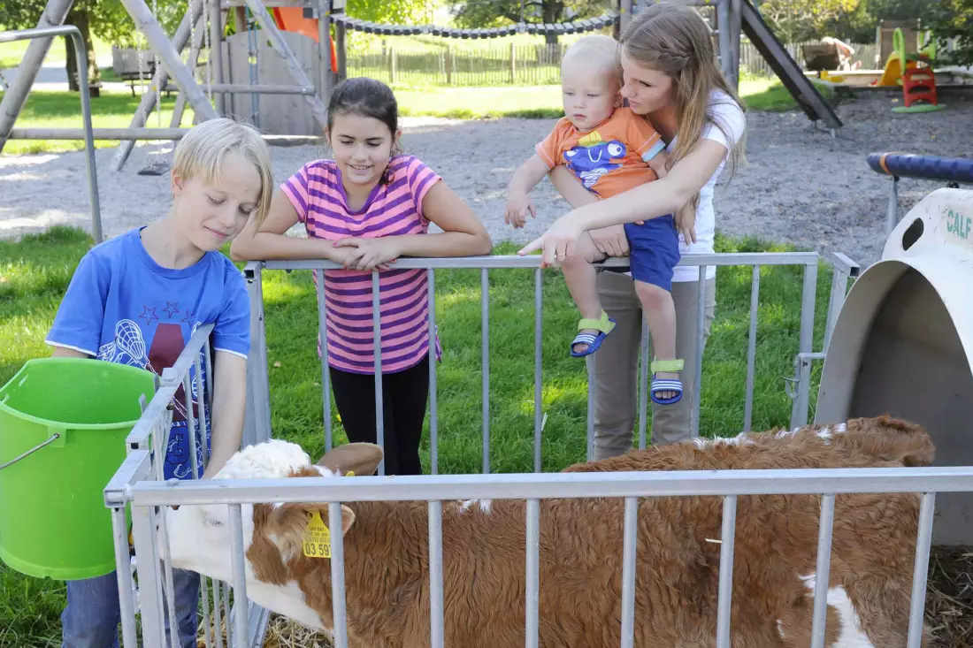 Thomahof Urlaub auf dem Bauernhof
