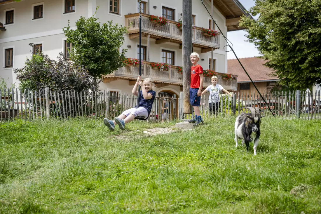 Thomahof Urlaub auf dem Bauernhof