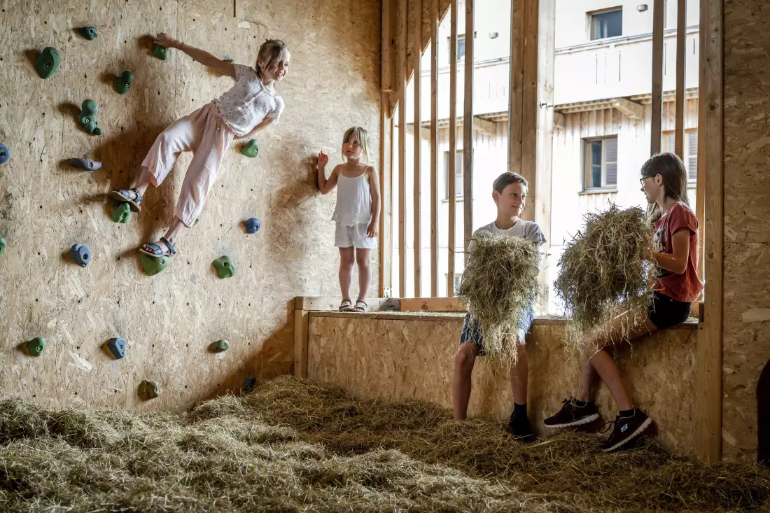 Thomahof Urlaub auf dem Bauernhof