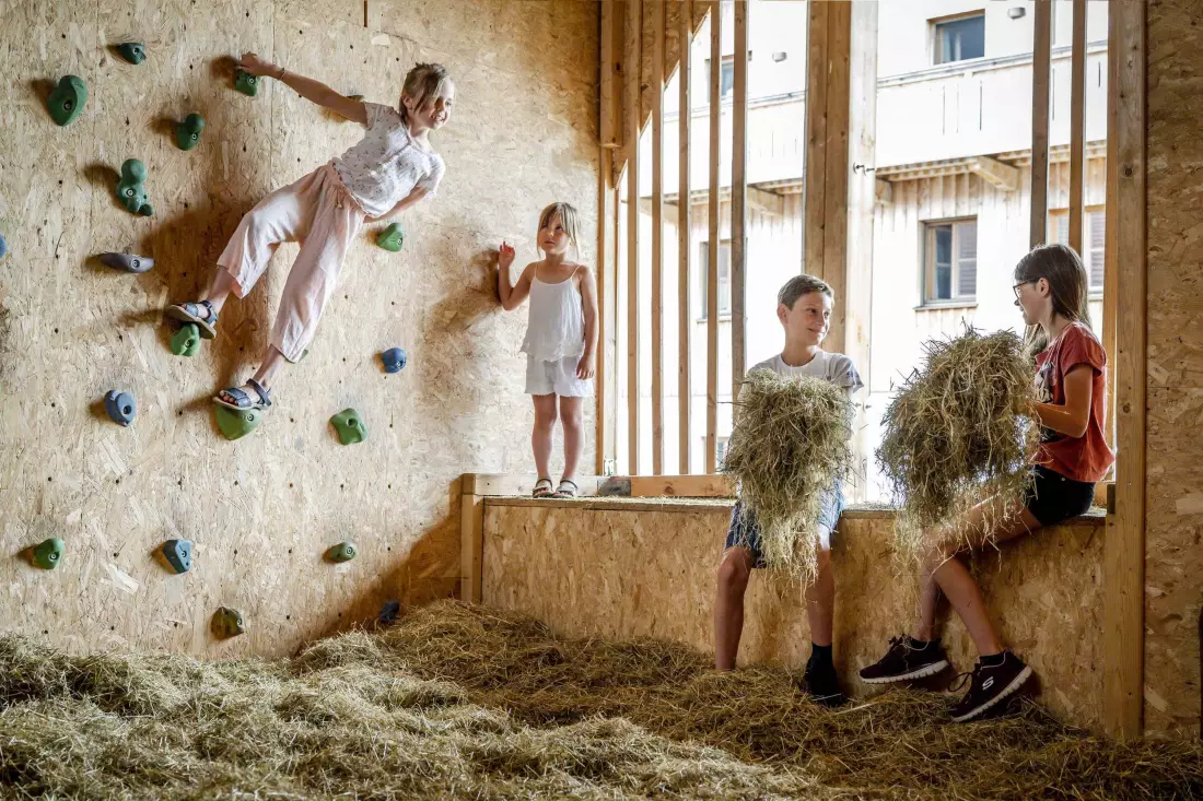 Thomahof Urlaub auf dem Bauernhof