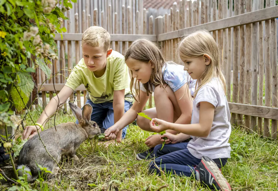 Thomahof Urlaub auf dem Bauernhof