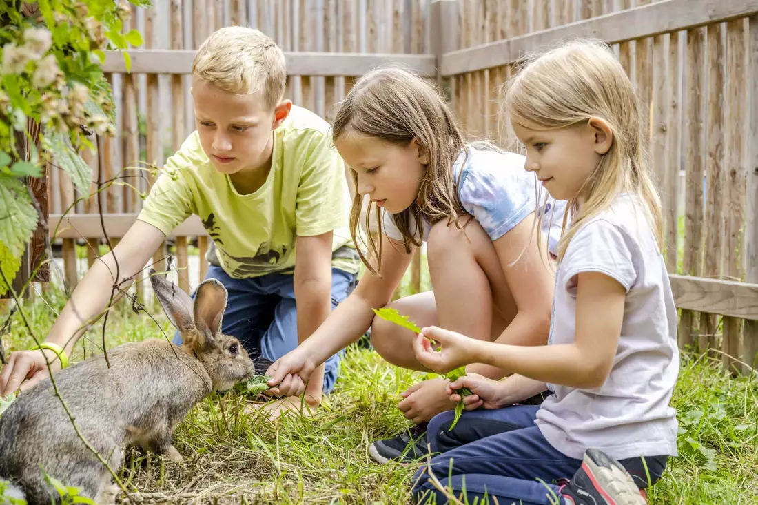 Thomahof Urlaub auf dem Bauernhof