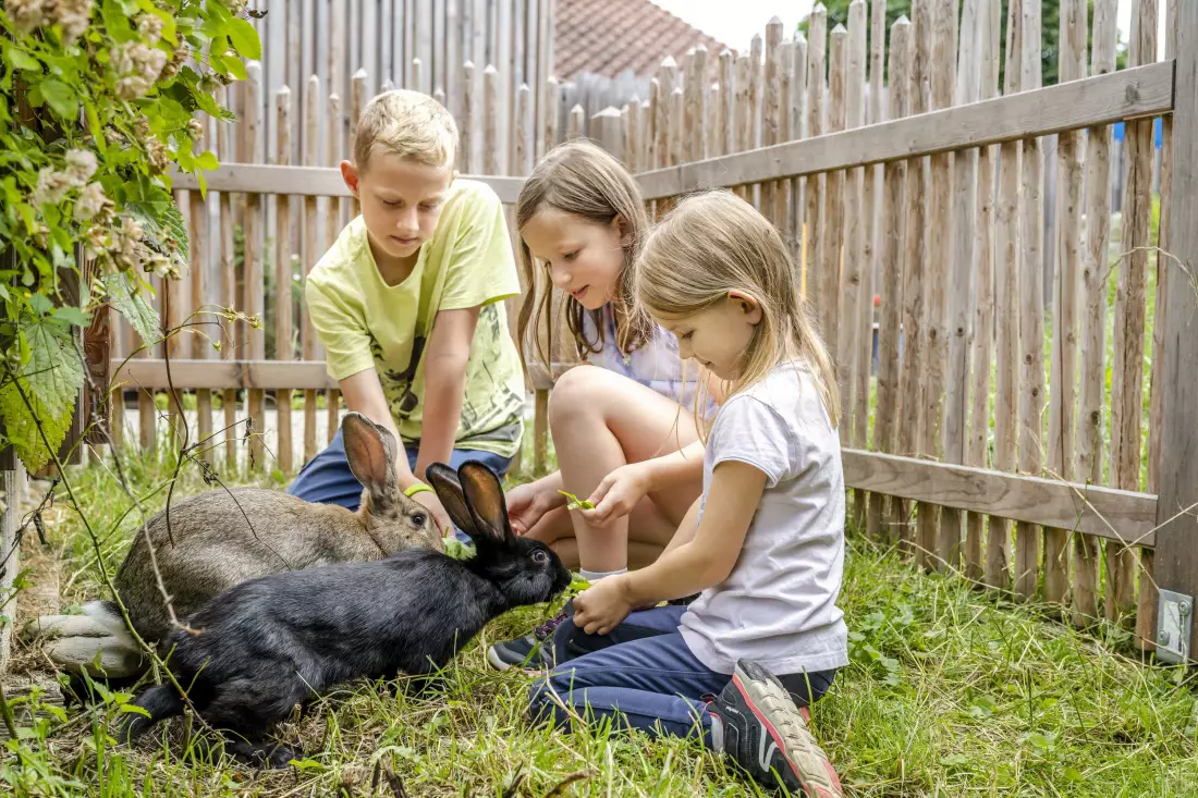Natur erwacht am Thomahof in Eizing in Oberbayern