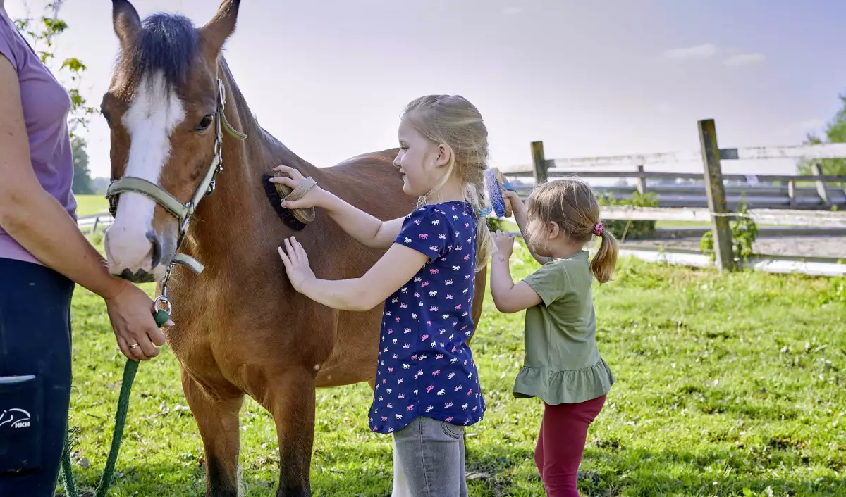 Thomahof Urlaub auf dem Bauernhof