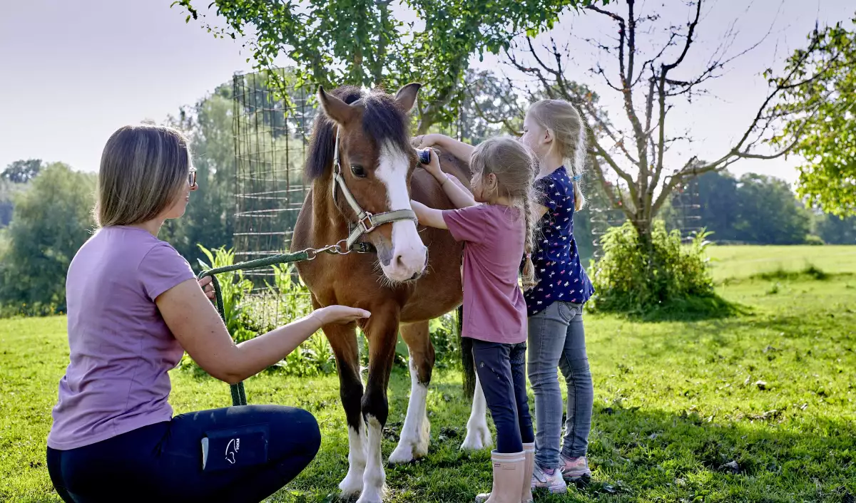 Thomahof Urlaub auf dem Bauernhof