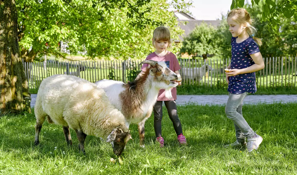 Thomahof Urlaub auf dem Bauernhof