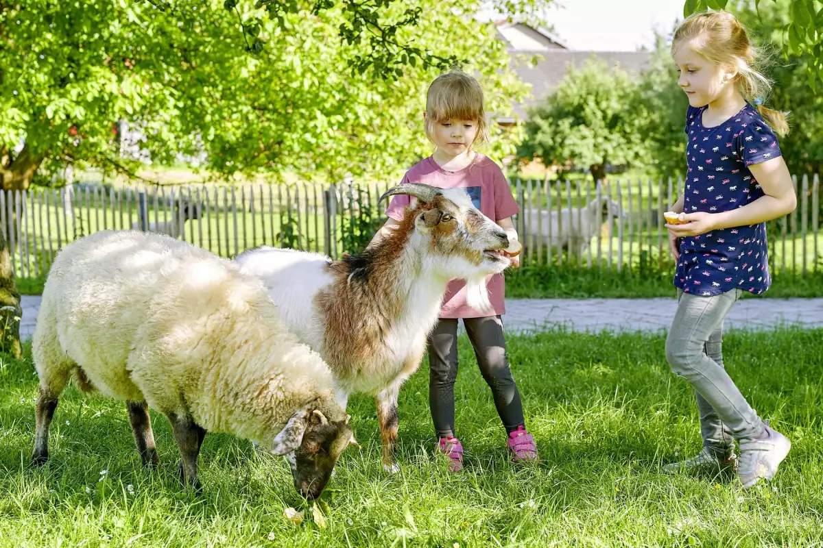 Thomahof Urlaub auf dem Bauernhof