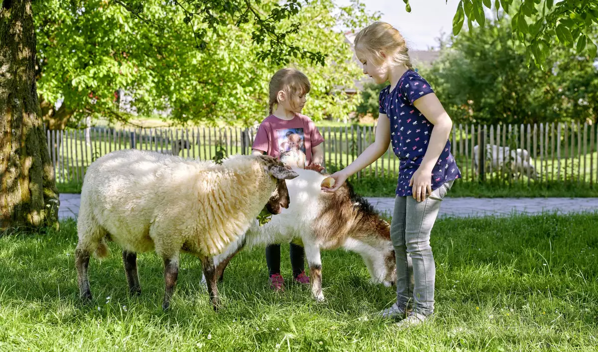 Thomahof Urlaub auf dem Bauernhof