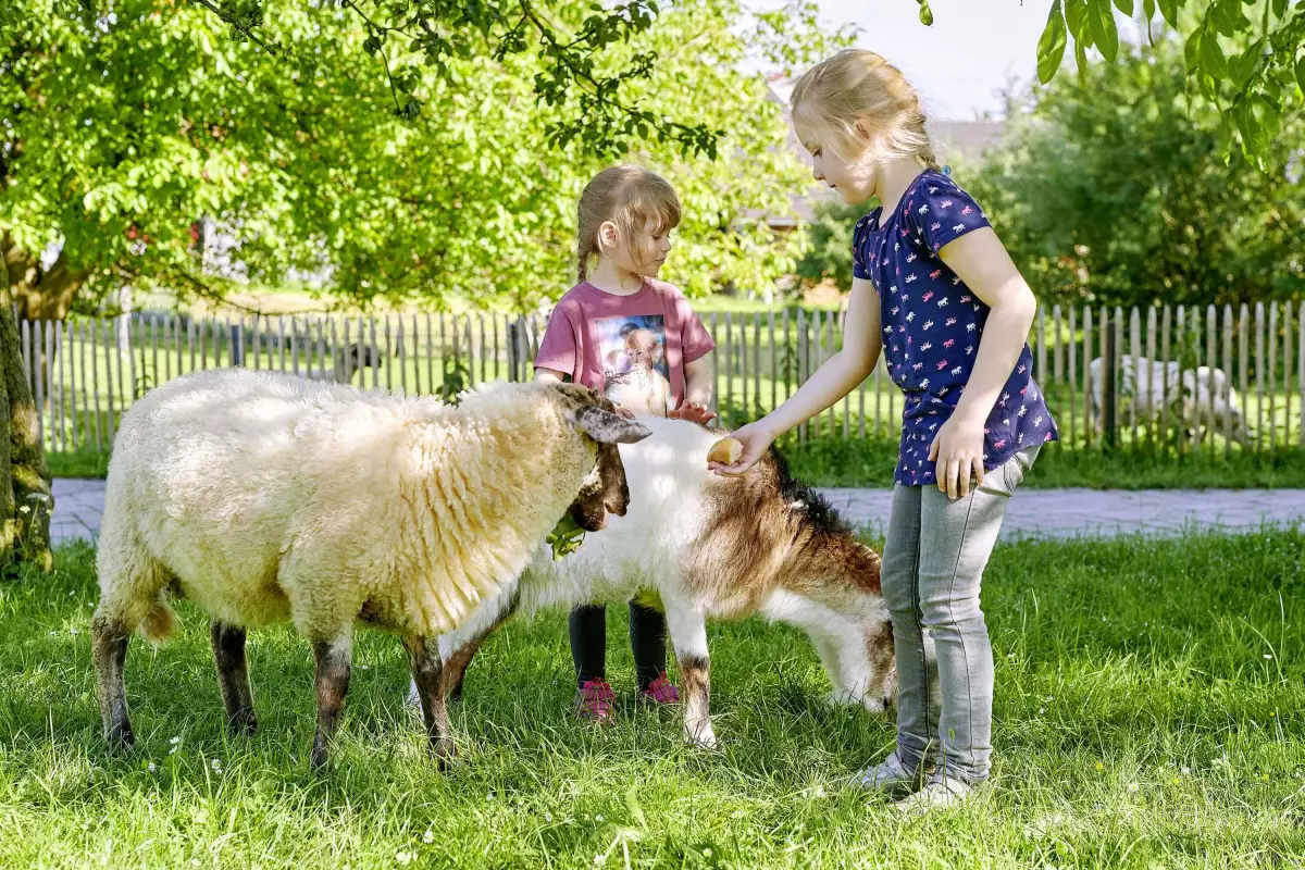 Thomahof Urlaub auf dem Bauernhof