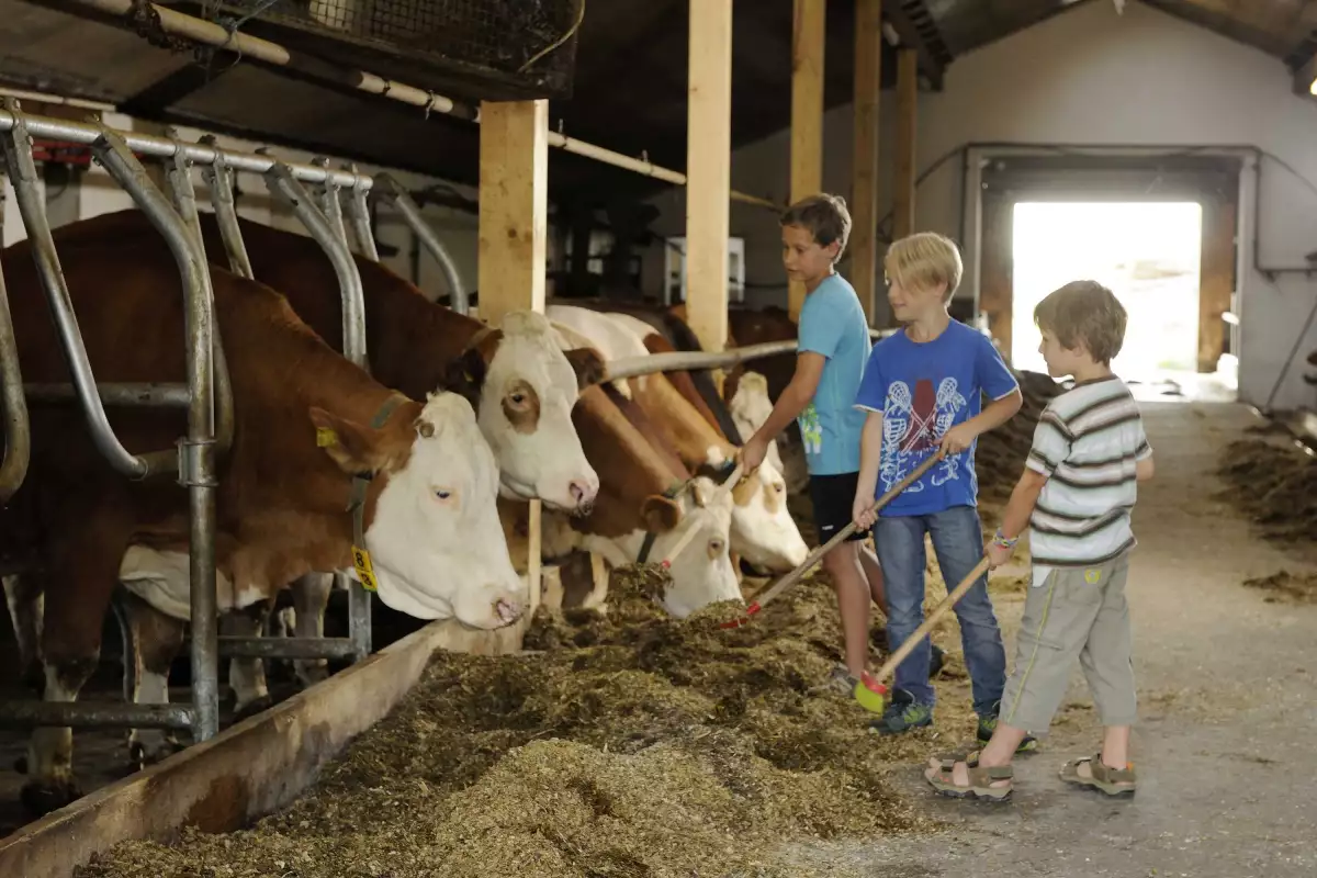 Thomahof Urlaub auf dem Bauernhof