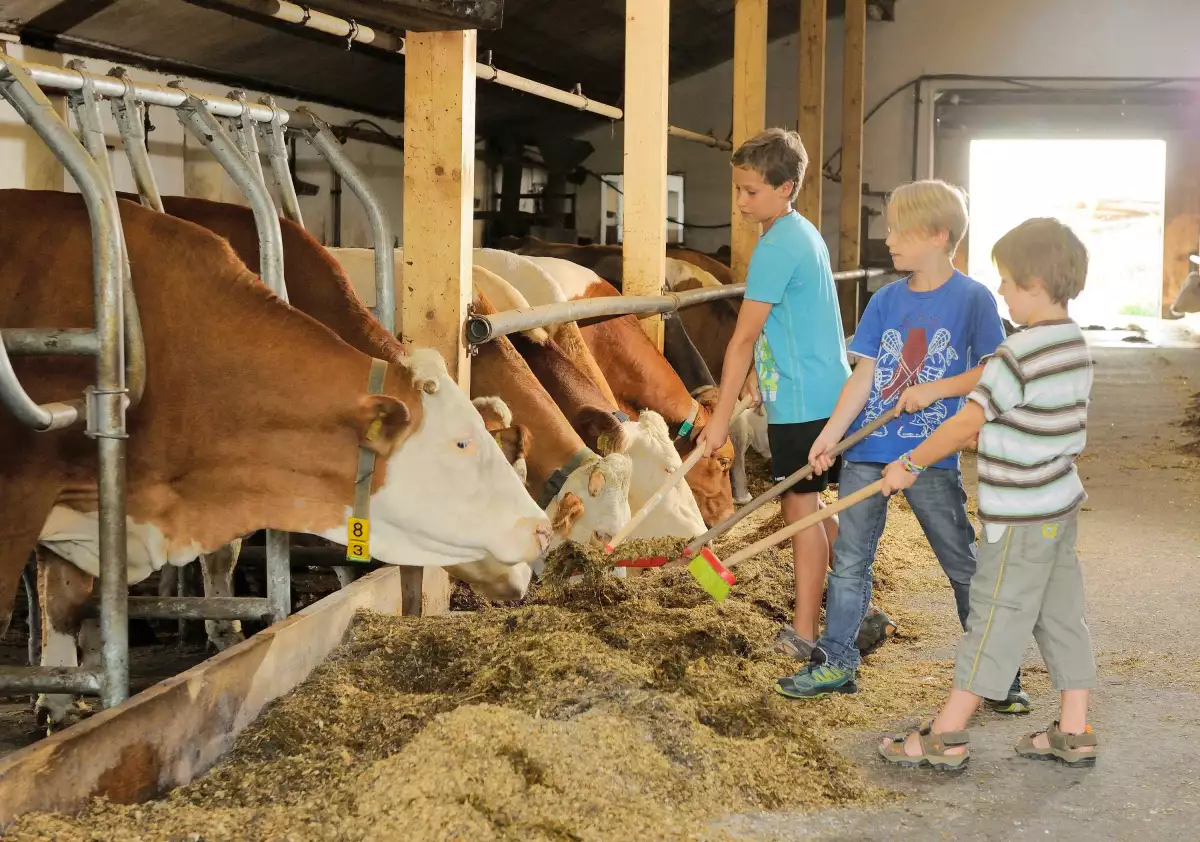 Thomahof Urlaub auf dem Bauernhof