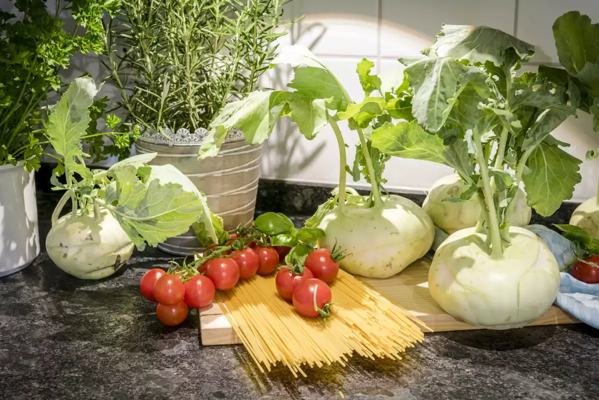 Thomahof Urlaub auf dem Bauernhof