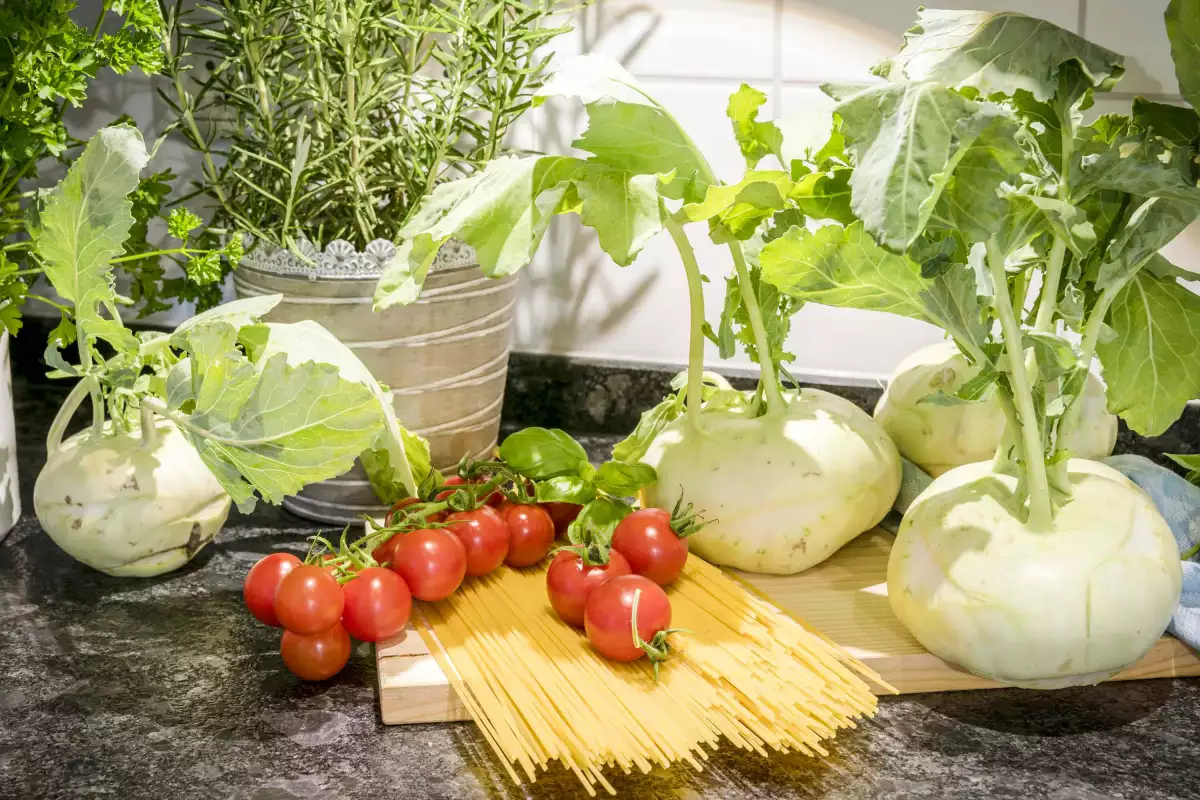 Thomahof Urlaub auf dem Bauernhof