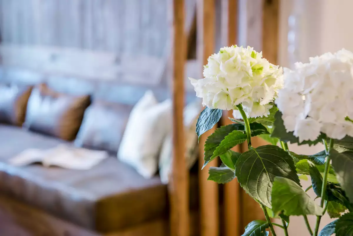 Thomahof Urlaub auf dem Bauernhof