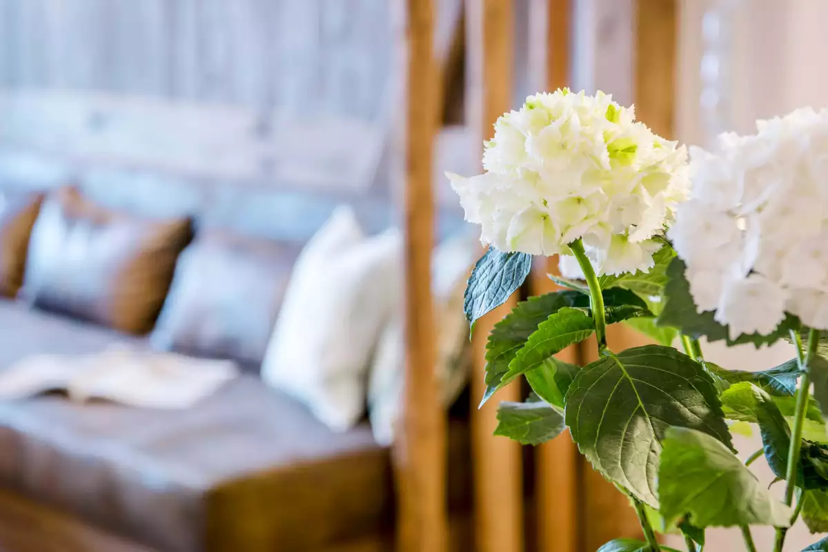 Thomahof Urlaub auf dem Bauernhof