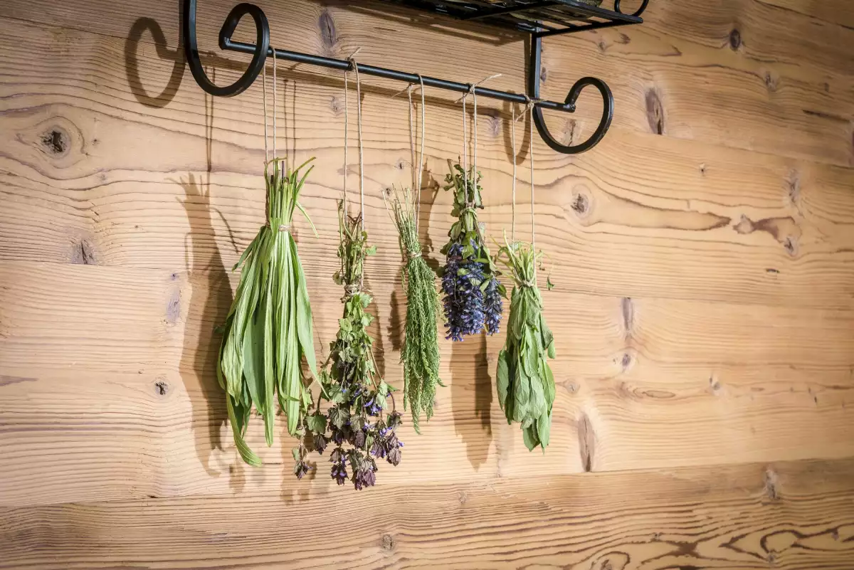 Thomahof Urlaub auf dem Bauernhof