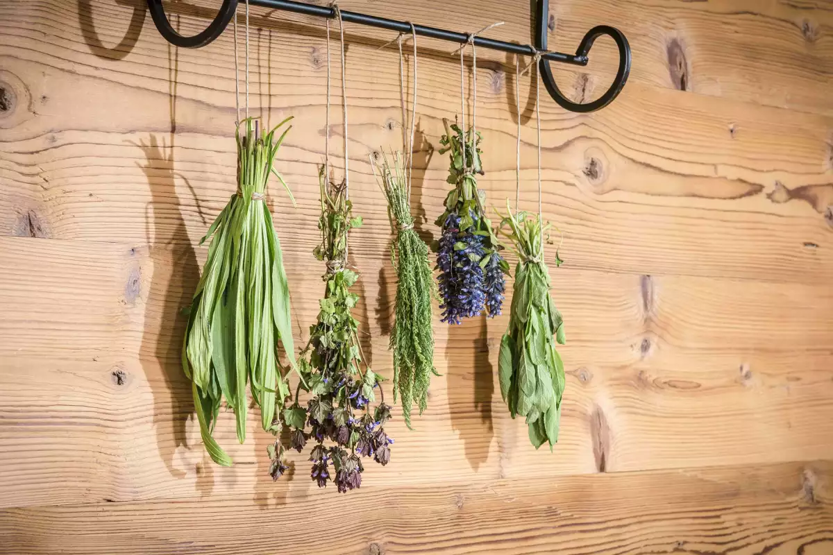 Thomahof Urlaub auf dem Bauernhof