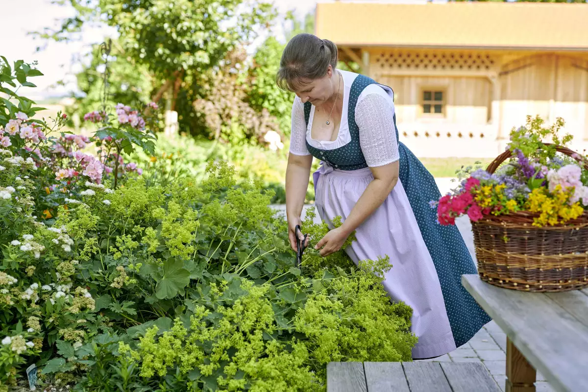 Thomahof Urlaub auf dem Bauernhof