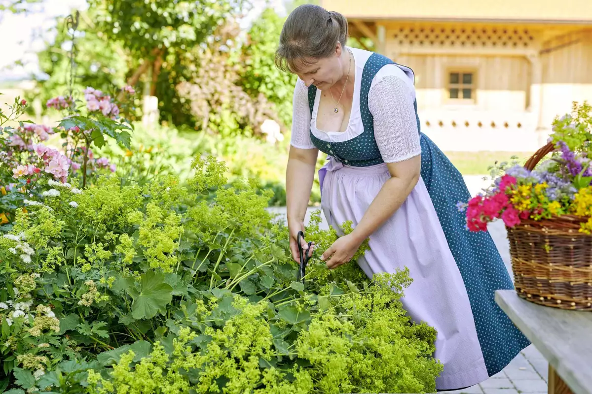 Thomahof Urlaub auf dem Bauernhof