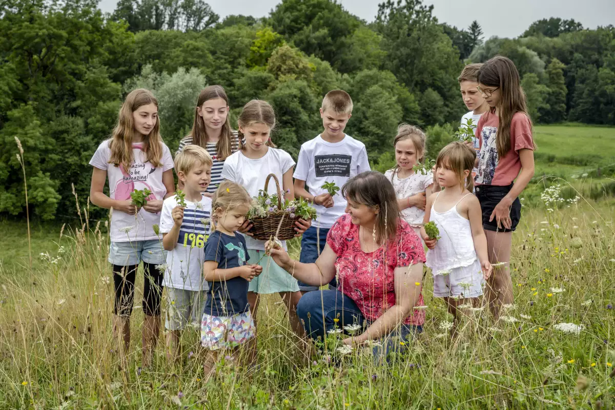 Thomahof Urlaub auf dem Bauernhof