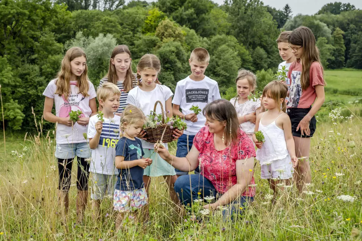 Thomahof Urlaub auf dem Bauernhof