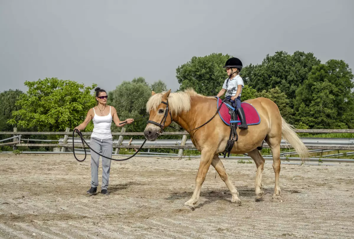 Thomahof Urlaub auf dem Bauernhof