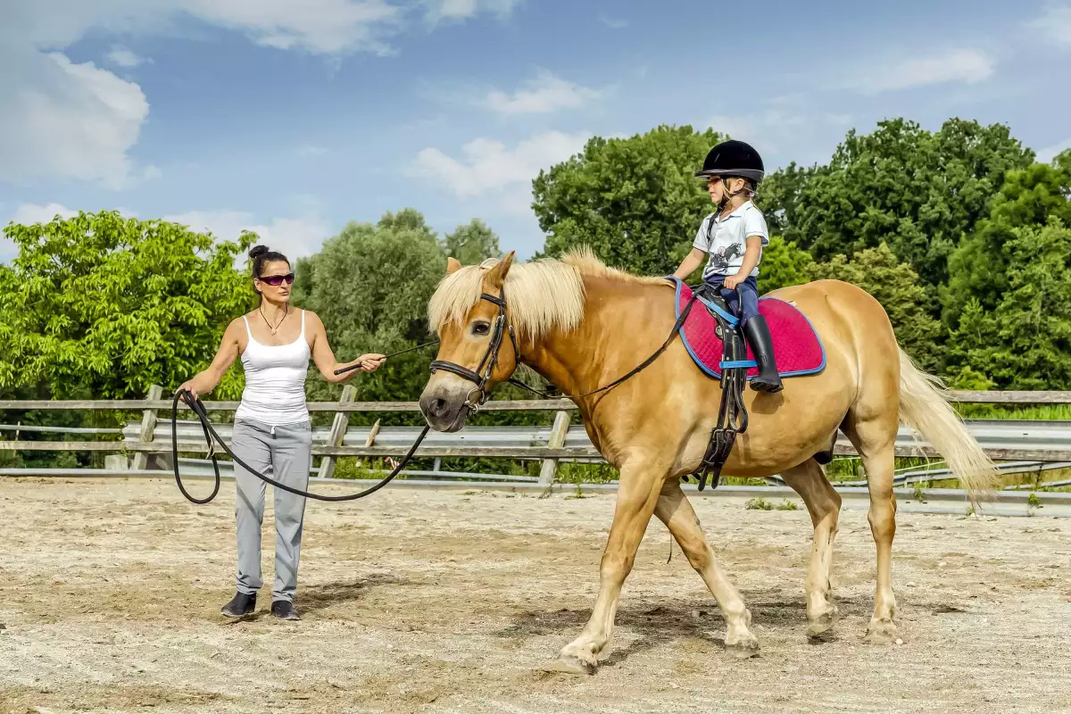 Thomahof Urlaub auf dem Bauernhof