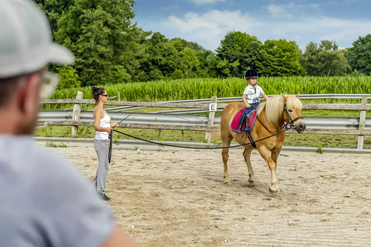 Thomahof Urlaub auf dem Bauernhof