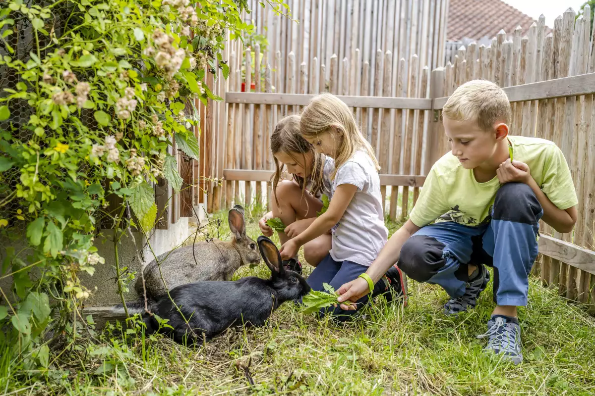Thomahof Urlaub auf dem Bauernhof