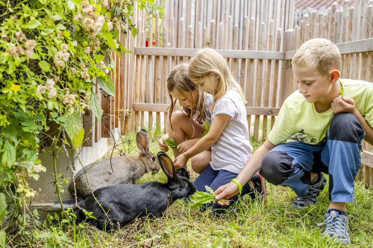 Thomahof Urlaub auf dem Bauernhof