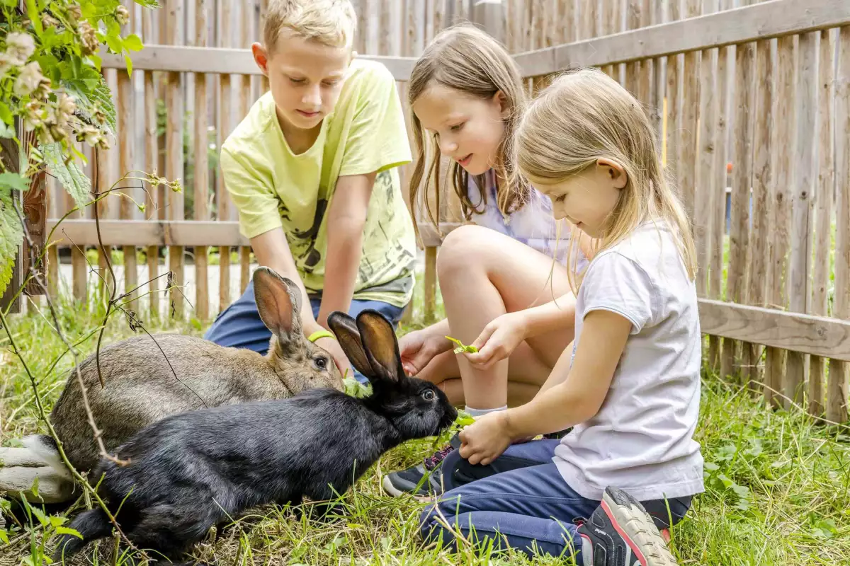 Thomahof Urlaub auf dem Bauernhof