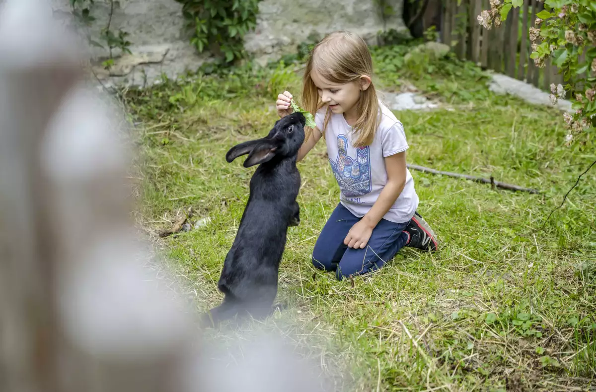 Thomahof Urlaub auf dem Bauernhof