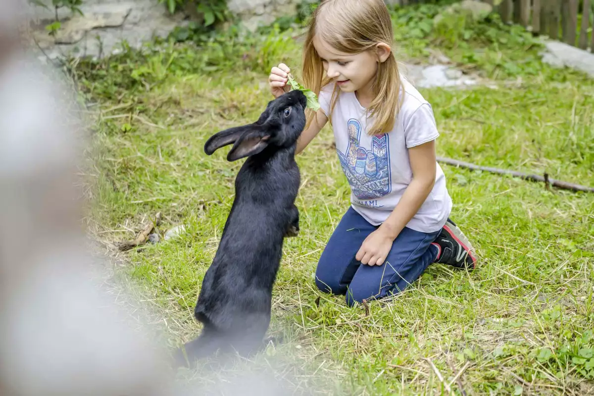 Thomahof Urlaub auf dem Bauernhof