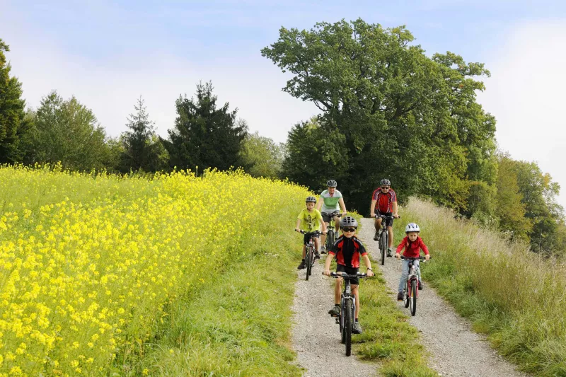 Bauernhofurlaub neu erleben