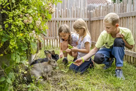 Kleintiere zum streicheln