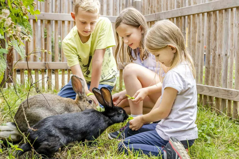 Natur & Tiere hautnah erleben