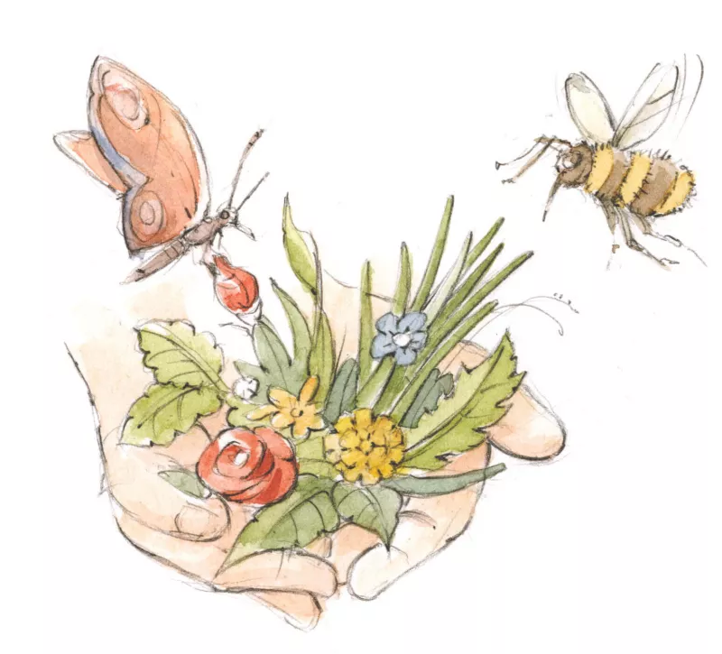 Wildblumen und Heilkräuter