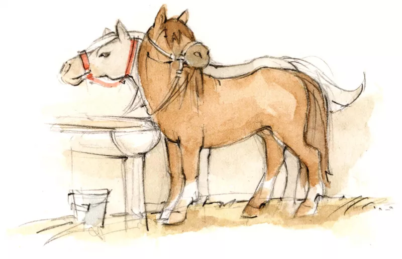 Bauernhof mit Ponys und Pferden