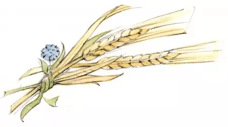 Urlaub auf dem Kinderland-Bauernhof