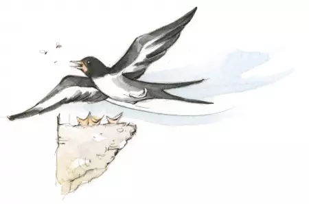 Familienurlaub auf dem Bauernhof