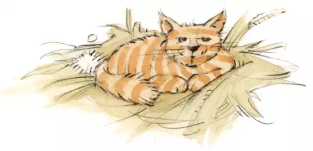 Ferien auf dem Thomahof