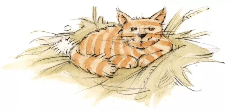 Ferien auf dem Thomahof