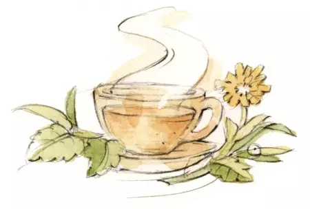 Kräuter und Spezialitäten aus dem Hofladen