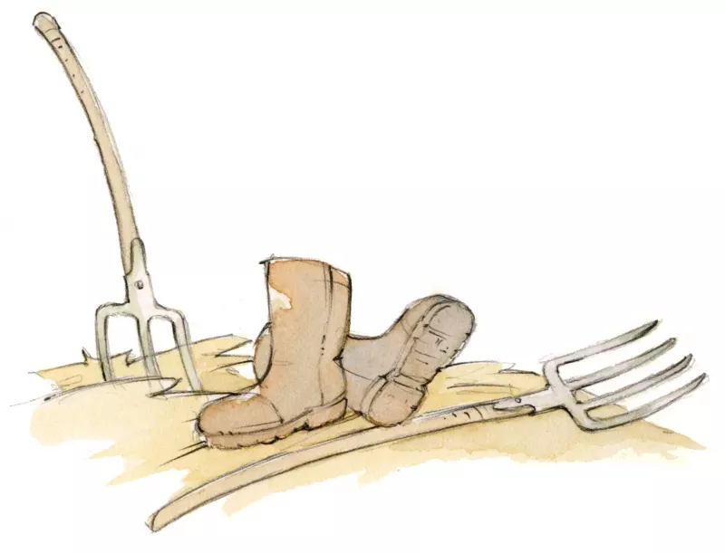 Bauernhoferlebnisse für kleine und große Kinder