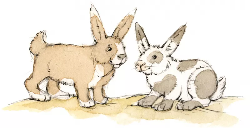 Spielscheune Outdoor am Thomahof