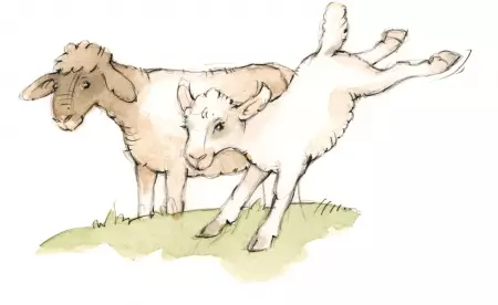 Abenteuer für die ganze Familie