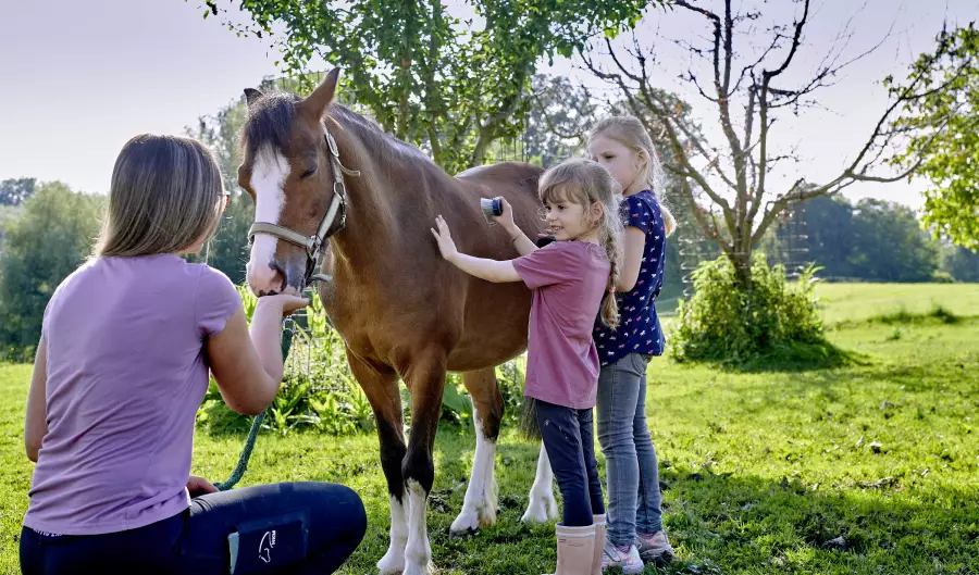 Pferdepflege am Thomahof